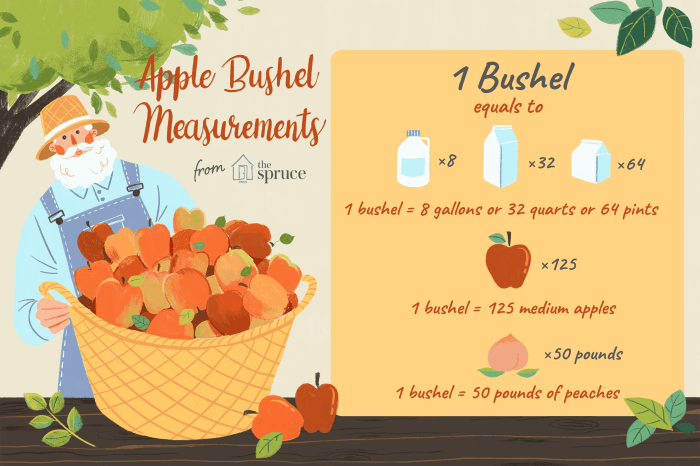 How much is a bushel of apples cost