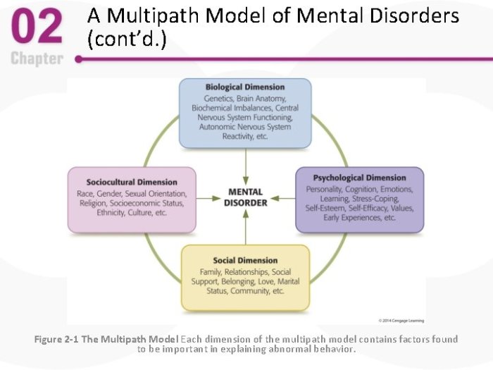 Multipath model of mental disorders