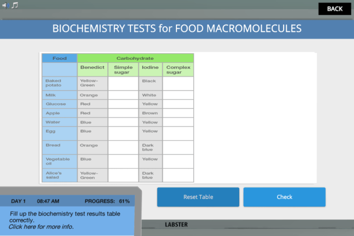 Macromolecules lab food identifying