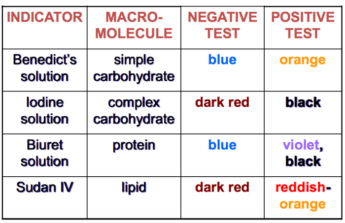 Biochemical test for food macromolecules