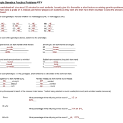 Ap biology genetics practice problems answers pdf