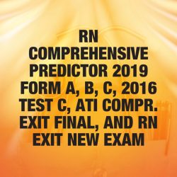 Ati rn comprehensive online practice 2019 a with ngn